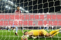 阿斯顿维拉云开体育-阿斯顿维拉与云开体育，携手共谱足球新篇章
