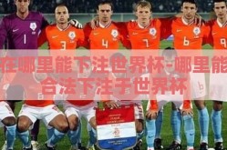 在哪里能下注世界杯-哪里能合法下注于世界杯