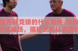 世界杯竞猜的什么软件-热血足球赛场，揭秘世界杯竞猜的神兵利器——XX足球助手APP