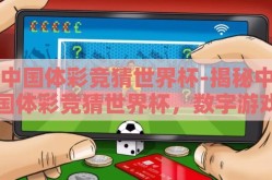 中国体彩竞猜世界杯-揭秘中国体彩竞猜世界杯，数字游戏背后的社会现象与文化热潮