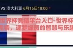 世界杯竞猜平台入口-世界杯竞猜，逐梦绿茵的智慧与乐趣