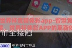 世界杯竞猜体彩app-智慧竞猜，世界杯体彩APP的革新体验