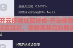 开云体育结算好慢-开云体育结算延迟，理解其背后的原因及影响