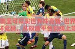 哪里可以买世界杯竞猜-世界杯竞猜，从权威平台到线上娱乐的多样化选择
