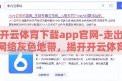 开云体育下载app官网-走出网络灰色地带，揭开开云体育的下载迷雾