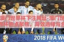 澳门世界杯下注网址-澳门世界杯热点聚焦，高效选择与合法参与的智慧考量