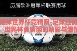 足球世界杯竞猜网-足球狂热，世界杯竞猜网的精彩与激情