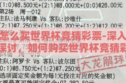 怎么买世界杯竞猜彩票-深入探讨，如何购买世界杯竞猜彩票的步骤与建议