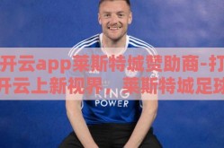 开云app莱斯特城赞助商-打开云上新视界，莱斯特城足球俱乐部与开云app的携手并进