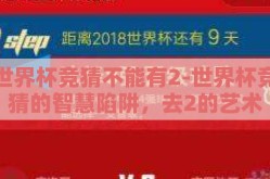 世界杯竞猜不能有2-世界杯竞猜的智慧陷阱，去2的艺术