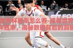 世界杯胜率怎么看-探寻世界杯胜率，揭秘数据背后的洞察与启示