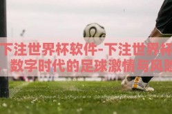 下注世界杯软件-下注世界杯，数字时代的足球激情与风险管理
