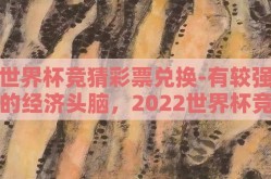世界杯竞猜彩票兑换-有较强的经济头脑，2022世界杯竞猜彩票兑换漫谈