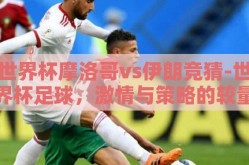 世界杯摩洛哥vs伊朗竞猜-世界杯足球，激情与策略的较量——摩洛哥vs伊朗的竞技前瞻