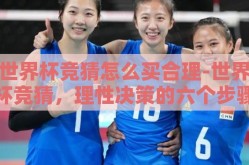 世界杯竞猜怎么买合理-世界杯竞猜，理性决策的六个步骤