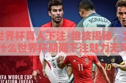 世界杯真人下注-绝技揭秘，为什么世界杯期间下注魅力无可抵挡
