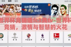 世界杯竞猜语fc3典tv-世界杯竞猜，激情与智慧的火花