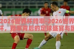2026世界杯赔率-2026世界杯，赔率背后的足球盛宴与国家荣光
