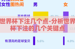 世界杯下注几个点-分析世界杯下注的几个关键点