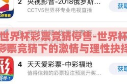 世界杯彩票竞猜停售-世界杯彩票竞猜下的激情与理性抉择