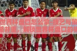 世界杯盘口怎么拿-技艺与策略并重，解锁世界杯盘口的机会之门