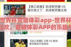 世界杯竞猜体彩app-世界杯狂欢，竞猜体彩APP的乐趣与洞察