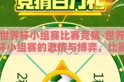 世界杯小组赛比赛竞猜-世界杯小组赛的激情与博弈，比赛竞猜的魅力揭秘