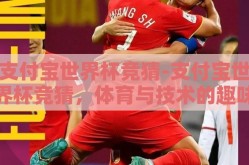 支付宝世界杯竞猜-支付宝世界杯竞猜，体育与技术的趣味融合