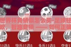 世界杯竞猜票怎么买-足球狂欢，智趣竞猜 —— 如何正确购买世界杯竞猜票