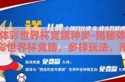 体彩世界杯竞猜种类-揭秘体彩世界杯竞猜，多样玩法，乐享足球盛宴