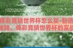 体彩竞猜世界杯怎么买-智选球技，体彩竞猜世界杯的实战攻略