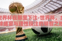 世界杯在那里下注-世界杯，全球盛宴与理性投注的明智之地