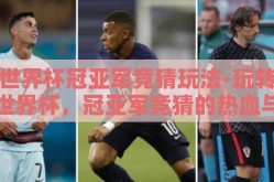 世界杯冠亚军竞猜玩法-玩转世界杯，冠亚军竞猜的热血与智慧