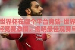 世界杯在哪个平台竞猜-世界杯竞赛激情，揭晓最佳观赛与竞猜平台