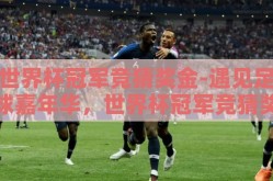 世界杯冠军竞猜奖金-遇见足球嘉年华，世界杯冠军竞猜奖金的奇妙探索之旅