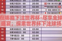 在哪能下注世界杯-尽享全球盛宴，探索世界杯下注球场