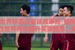 世界杯怎么买球胜率高-如何在世界杯中提升买球胜率，策略与智慧并重