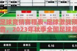 足球竞猜赛程表-足球激战预告，2023年秋季全国足球竞猜盛宴