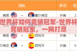 世界杯如何竞猜冠军-世界杯竞猜冠军，一网打尽