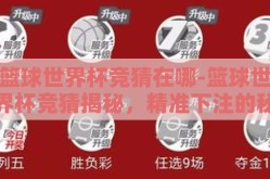 篮球世界杯竞猜在哪-篮球世界杯竞猜揭秘，精准下注的秘籍和渠道