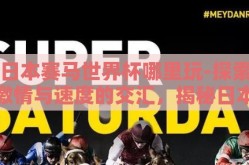日本赛马世界杯哪里玩-探索激情与速度的交汇，揭秘日本赛马世界杯的最佳观赛体验地