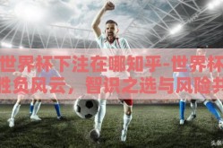 世界杯下注在哪知乎-世界杯胜负风云，智识之选与风险共舞