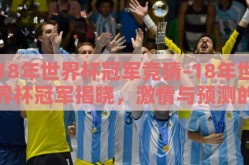 18年世界杯冠军竞猜-18年世界杯冠军揭晓，激情与预测的碰撞