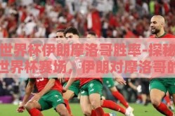 世界杯伊朗摩洛哥胜率-探秘世界杯赛场，伊朗对摩洛哥的胜算与激情博弈