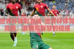 世界杯体彩竞猜-世界杯体育竞猜，激情与智慧的碰撞