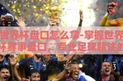 世界杯盘口怎么拿-掌握世界杯赛事盘口，专业足球赌注的智胜之道