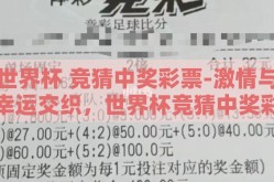 世界杯 竞猜中奖彩票-激情与幸运交织，世界杯竞猜中奖彩票的非凡之旅