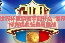 世界杯竞猜能拿到什么-世界杯竞猜的惊喜与挑战