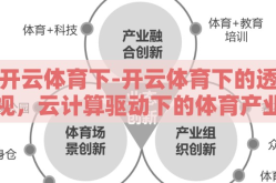 开云体育下-开云体育下的透视，云计算驱动下的体育产业新生态