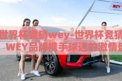 世界杯竞猜wey-世界杯竞猜，WEY品牌携手球迷的激情盛宴